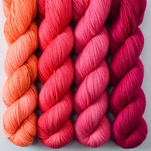 Ambrosia, Almaak, Sweet Pea, Dark Cassiopeia - Yummy 2-Ply Quartet - Babette