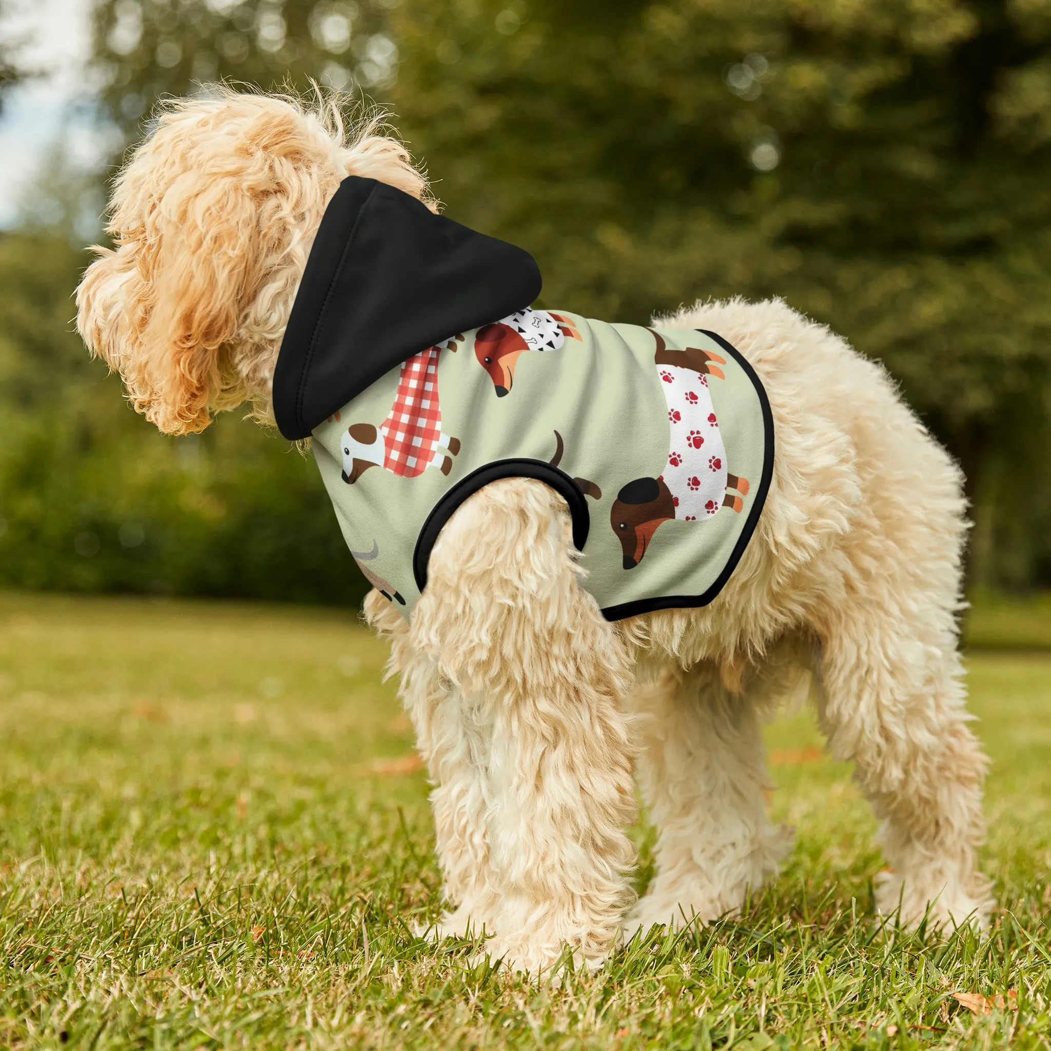 Pet Hoodie - Dachshunds in Sweaters