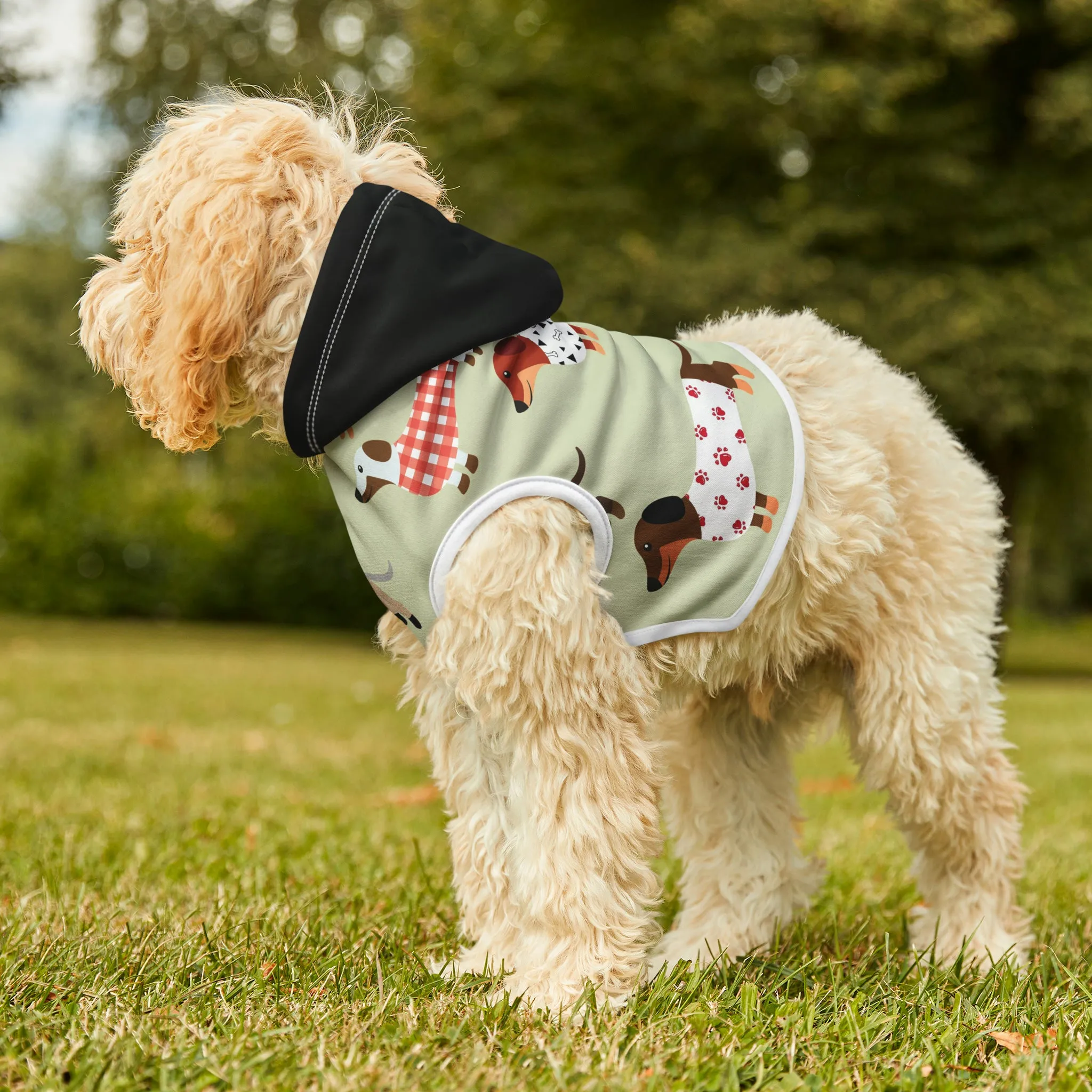 Pet Hoodie - Dachshunds in Sweaters