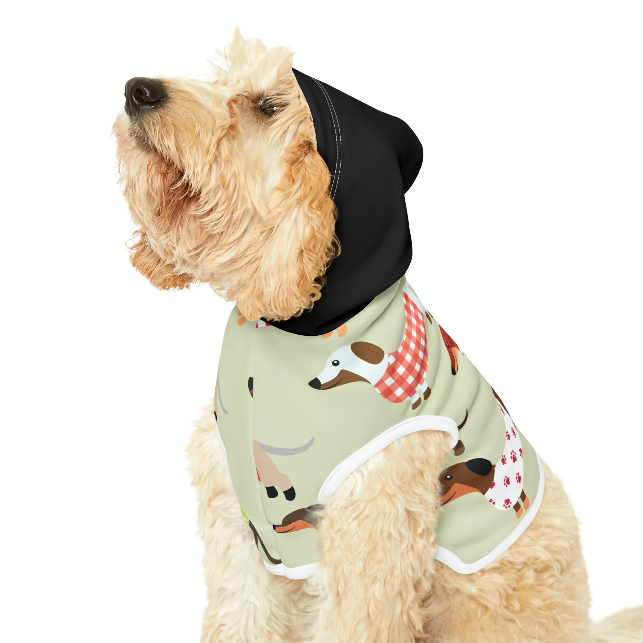 Pet Hoodie - Dachshunds in Sweaters